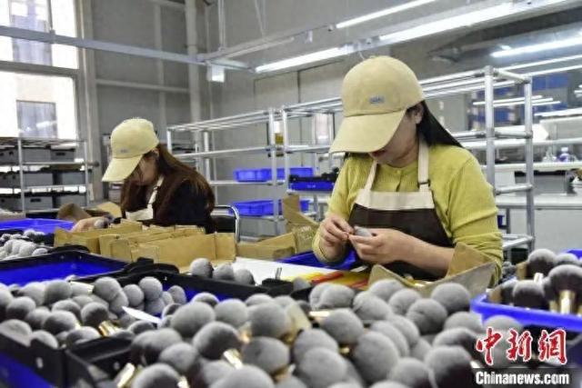 真有“两把刷子”！不朽情缘app沧州(图5)
